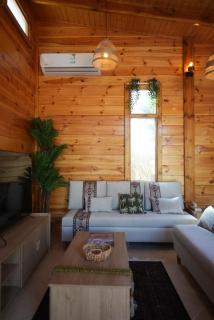 Aviry Palm أفيري النخيل - 6