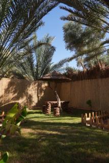 Aviry Palm أفيري النخيل - 5