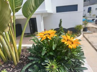 Résidence Dihya - 9