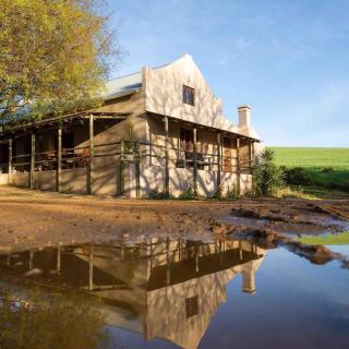 Dassenheuwel Farm Stay - house - 5