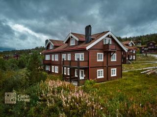 Nice apartment in Trysil ski in-out, sauna and view - 6