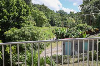 Balcon Nature&Parking-2ch Pres Aéroport-Guadeloupe - 3