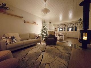 HomeAurora! 4BR Family House - Sauna - Forest View - 9
