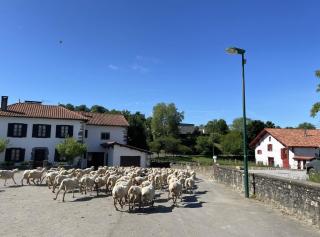 Le gite d'etxerria - 4