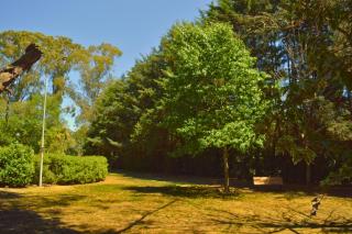 Cabañas Altos Del Parque - 1