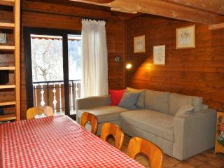 Charmant 2 pièces près des remontées mécaniques avec parking - FR-1-692-8 - 0