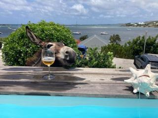 Villa vue sur Pinel piscine jacuzzi - 7