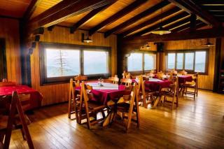 Pensiunea Casa Ancutei - 2