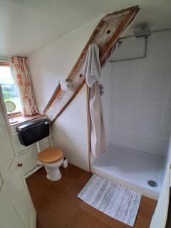 Rustic 18th Farm Cottage in the Brecon Beacons - 4
