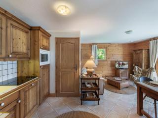 Appartement lumineux avec terrasse, à 250m des pistes et proche commerces - FR-1-566-64 - 0