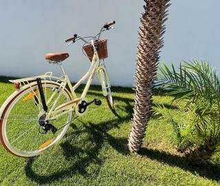 Design Villa with private pool - 4