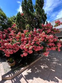 Casa Com Piscina no Guaruja - Guarujá - 6