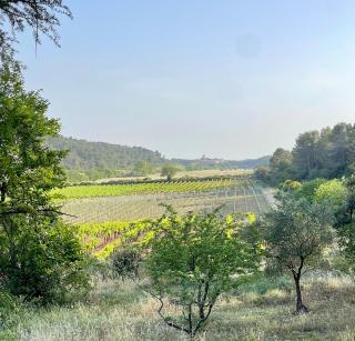 Château de Gragnos - 3