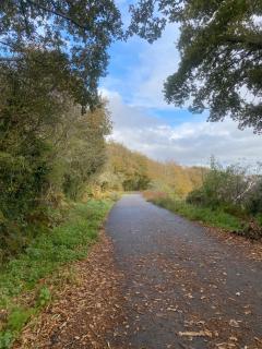 Appartement au calme nature et centre ville - 6