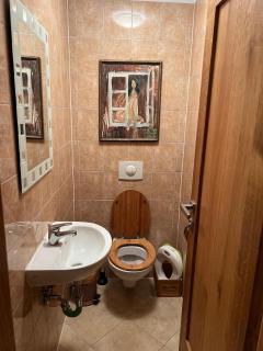 Bright apartment with balcony and view of Medvědín - 4