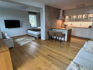 Bright apartment with balcony and view of Medvědín - 1