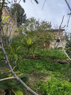 Chez Noureddine L 'GARAH - 0