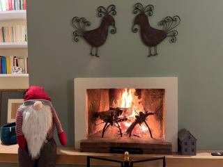 Deliziosa Villa alle porte di Roma - 9