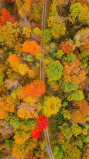 The 312 House - A Boho Retreat- Hocking Hills - Logan - 6