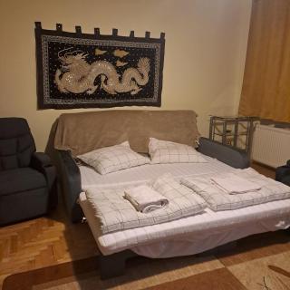 Villa Kasztanowa - 4