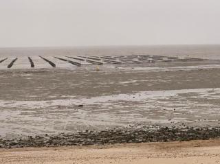 One Bedroom Ground Floor Flat in Whitstable - 3