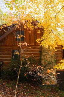 Outdoors Sleeps7 Family Getaway Fun Arcade Villa - Rockbridge - 3