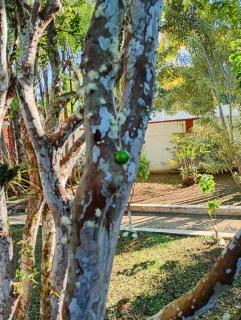 Chacara vida nova em Pedro de toledo - 9