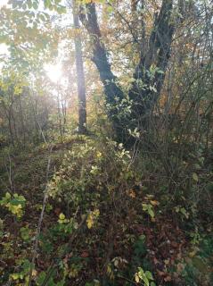 Joli appartement avec jardin et carrière - 8