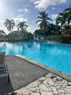 Le chant des oiseaux - 1