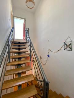 Skydiversnestdotcom - 6