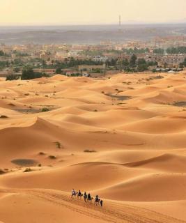 Mufasa Luxury Camp - 8