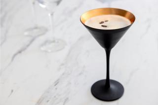 Chicago Marriott Midway - 6