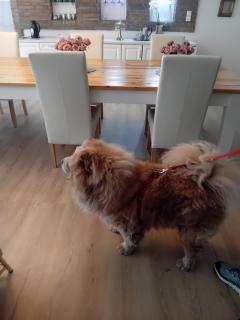 Meteora Grande luxury suite & spa villa - 7