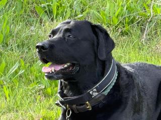 Casa Nonna Rosaria - 9