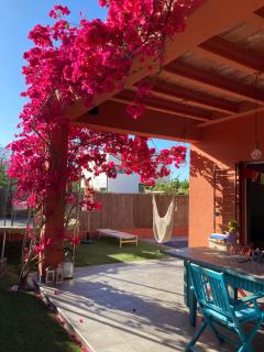 Skydiversnestdotcom - 9