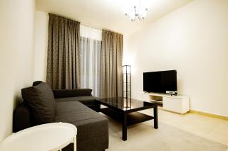 Newly Furnished 1BHK Apartment in Maya Residency - 1