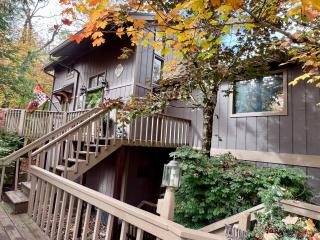 half Mi to Beech Mountain Slopes Cozy Family Home! - 0