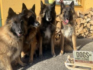 Ferienhaus Gansbach - 7