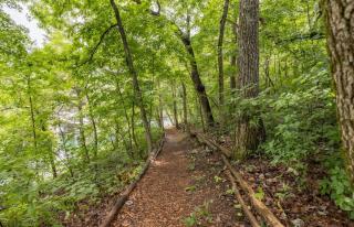 Table Rock Lake Cabin - Hawthorn #12 with Lake Access Hot Tub Outdoor Pool - 5