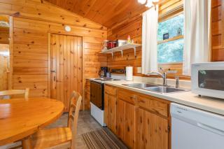 Table Rock Lake Cabin - Hawthorn #12 with Lake Access Hot Tub Outdoor Pool - 1