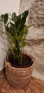 Casa da Aldeia 2 Belmonte - 5