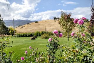 Meadowsweet Farm- Sleeps 18, Outdoor Kitchen - 1