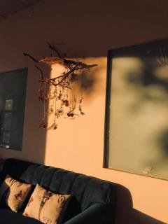 Dalat inn homestay hẻm 48 hà huy tập - 3