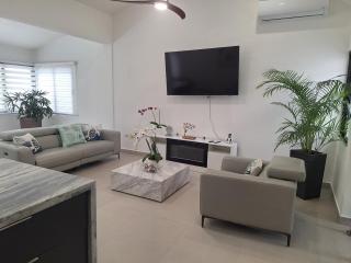 White House Mansion - 7