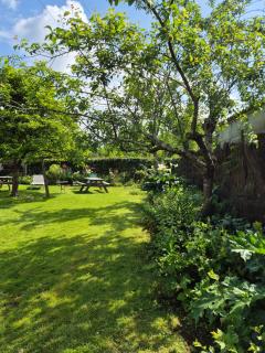 Gîte "Au Gré de l'Adour" - 5