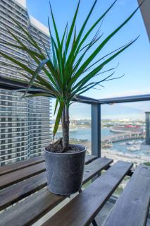 Downtown Luxe Studio Miami Skyline Retreat - 1