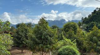 มาค่ะ ฟาร์มสเตย์ ห้วยเขย่ง สวนคุณตา สวนทุเรียนทองผาภูมิ - 7