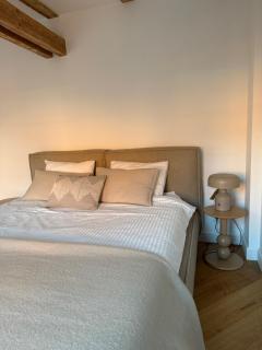 Rosette Residence 25 z bezpłatnym parkingiem - Toruń - 6