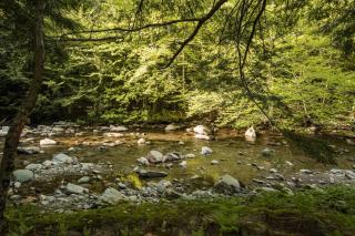 Fox Den Tiny House w/hot tub 1min to Smuggs - 9