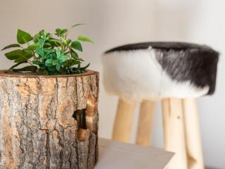 Tauernlodge Berglust - 1